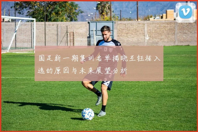 国足新一期集训名单揭晓王钰栋入选的原因与未来展望分析